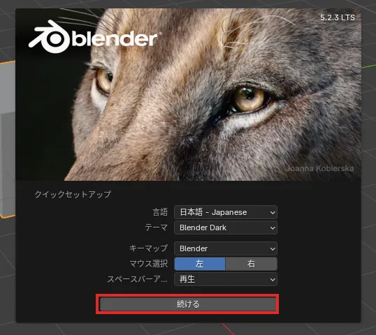 クイックセットアップが日本語になった画面。言語が日本語 - Japaneseになり、続けるボタンが赤い枠で囲まれている
